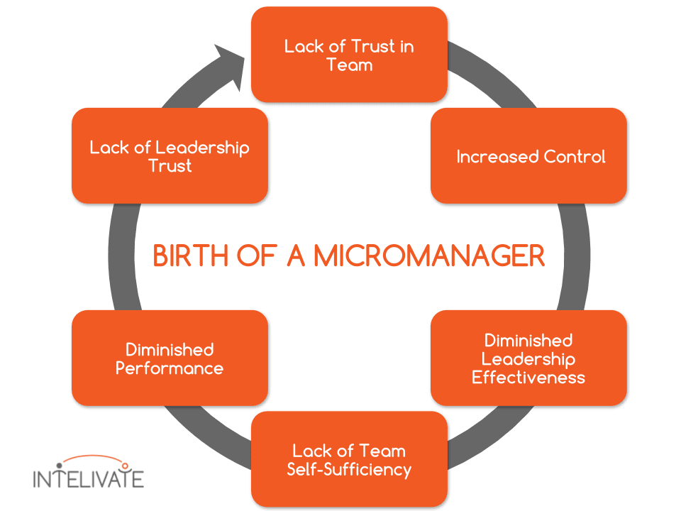 phd supervisor micromanage