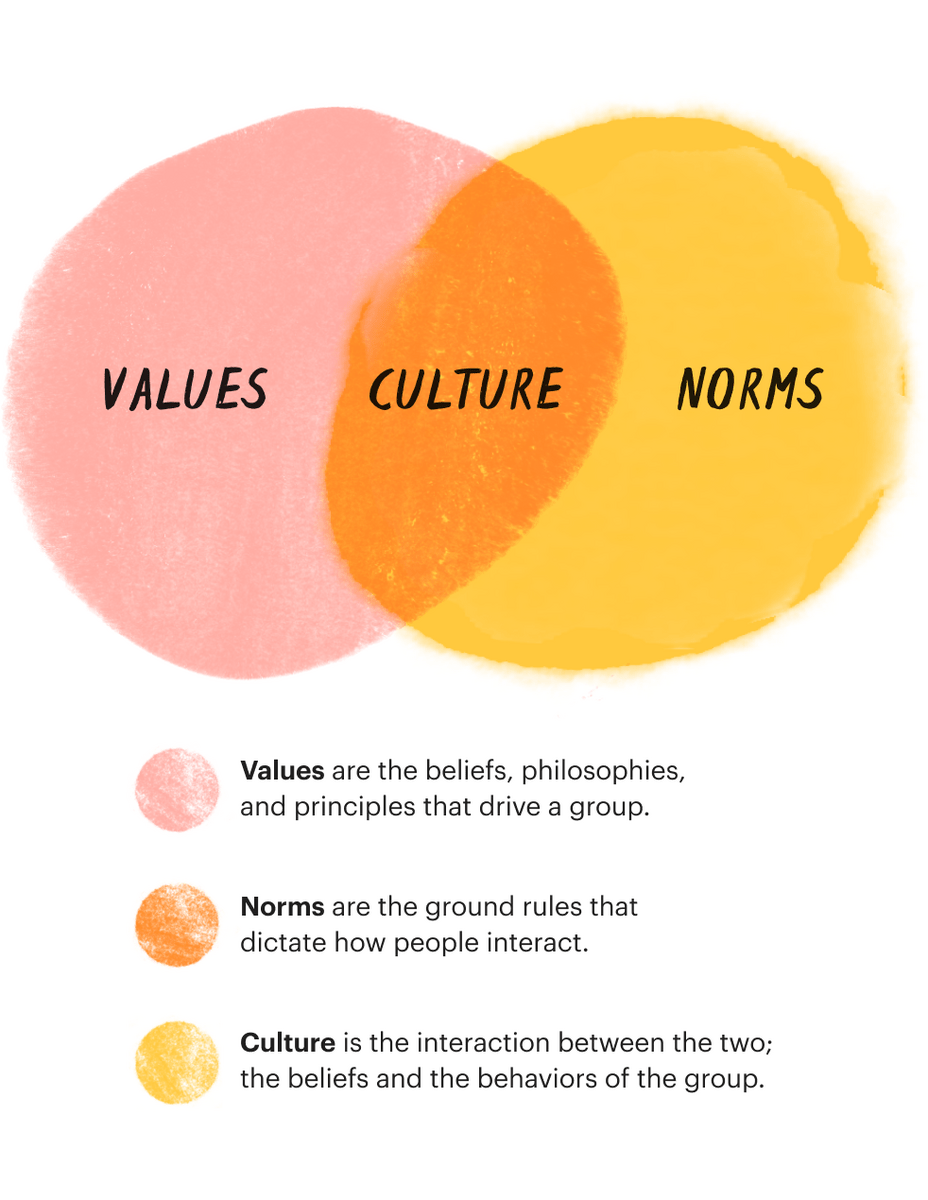 Visual representation of team norms