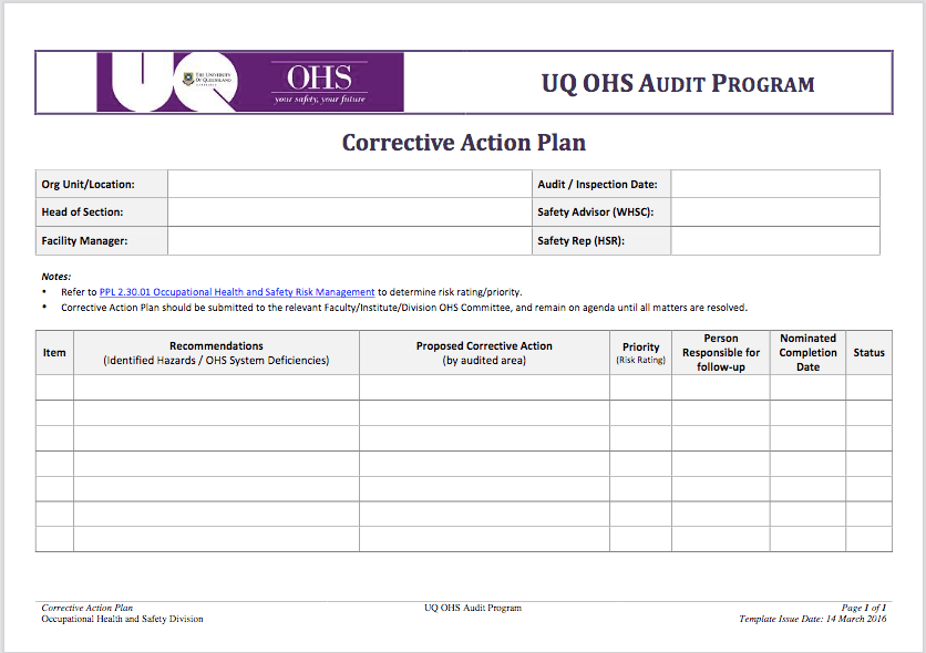audit corrective action plan example