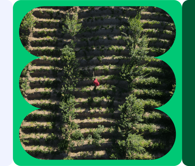 https://monday.com/elevate/wp-content/uploads/2025/05/green-hero-mob-1.png